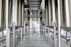 crystal-kwok-28U1dQ9FUSg-unsplash