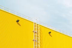 oleg-laptev-hwu-uFaXzOU-unsplash