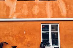 mihai-moisa-8HDWBobi7MI-unsplash