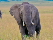 marthijn-brinks-NcudkZEN8t4-unsplash